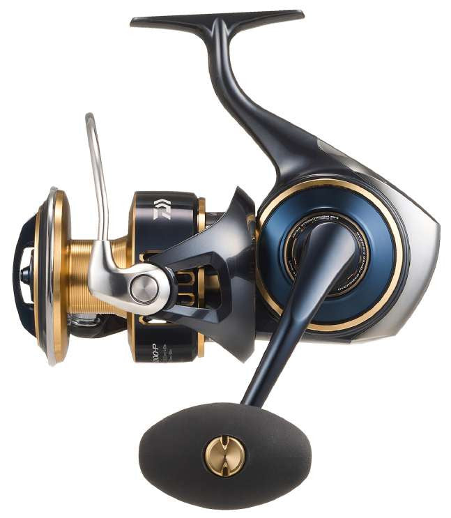 Fishing Reels
