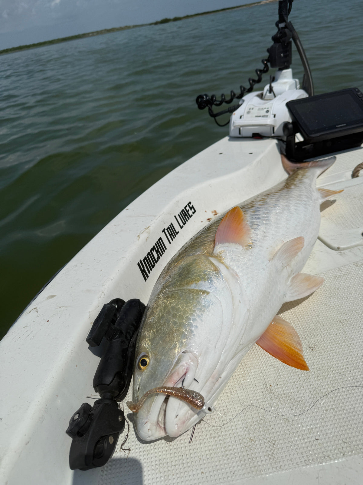 4" Texas Roach With Built-In Tail Rattle