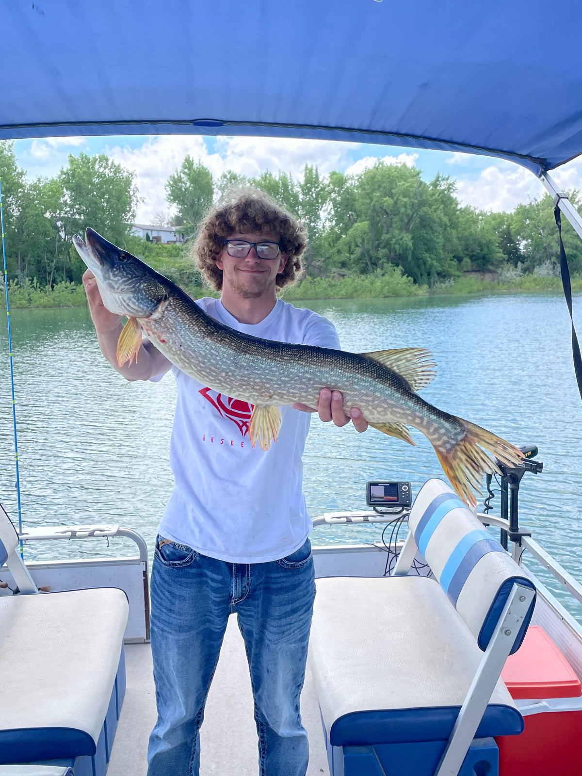 4" Greenback With Built-In Tail Rattle