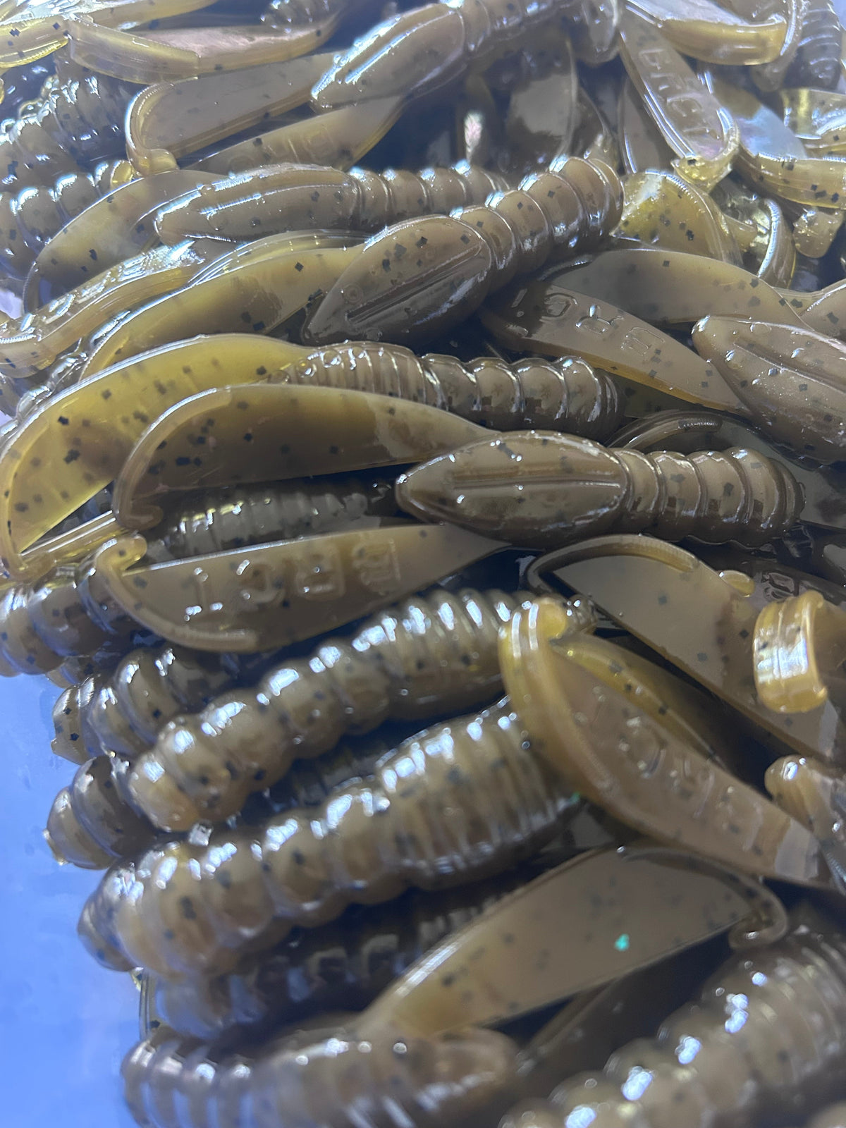 Cash Craw 3.5”