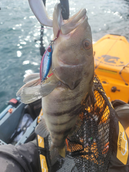 Submission Fishing Co. Sumo Slow Pitch Jig 40g & 60g