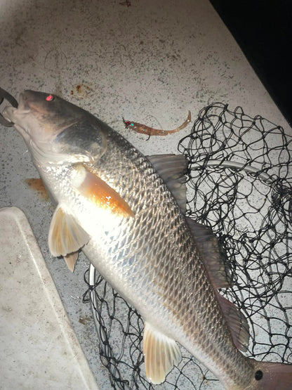 4" Pearl OR 5" Pearl With Built-In Tail Rattle