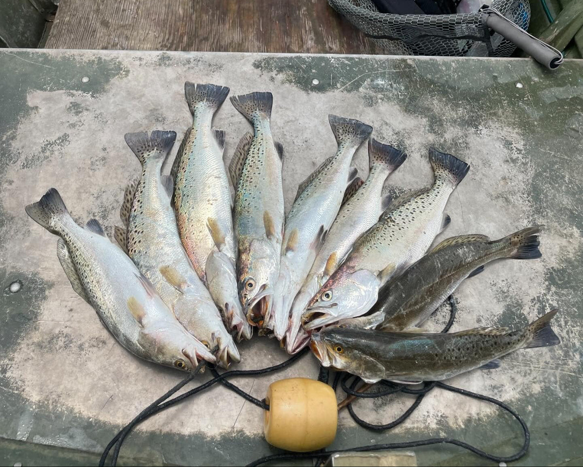 5" Smoke Shad With Built-In Tail Rattle