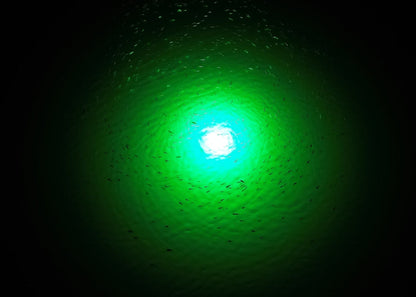 HydroGlow SF100G Green Underwater Fishing Light