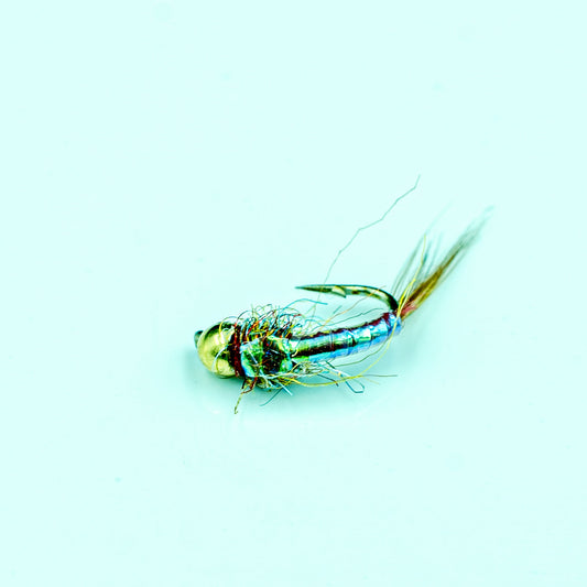 Rainbow Warrior- Finatics Fly Company