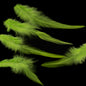 Finatics Loose Saddle – 1/4 oz (3–5”)- Finatics Fly Company