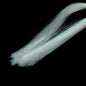 French Quarter Flash- Finatics Fly Company