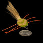 Em’s Problem Crab – Finatics Fly Company