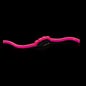 Squirmy Worm (Standard) – FINATICS