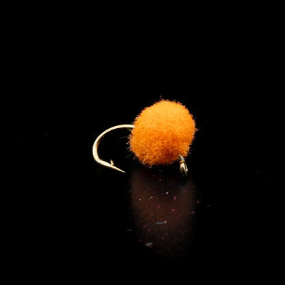 Egg Fly