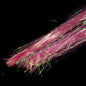 Canal St. Flash– Finatics Fly Company