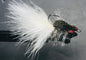 Clouser's Predator
