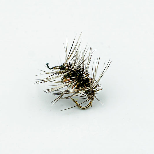 Griffith’s Gnat
