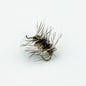 Griffith’s Gnat