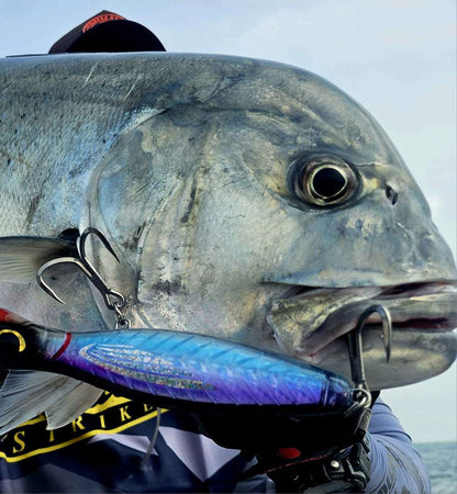 Captain's Tuna Popping Bundle