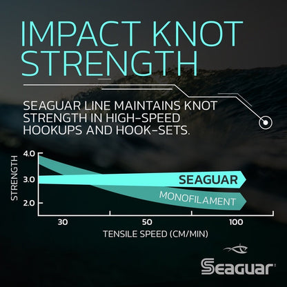 Seaguar Blue Label Fluorocarbon Leader