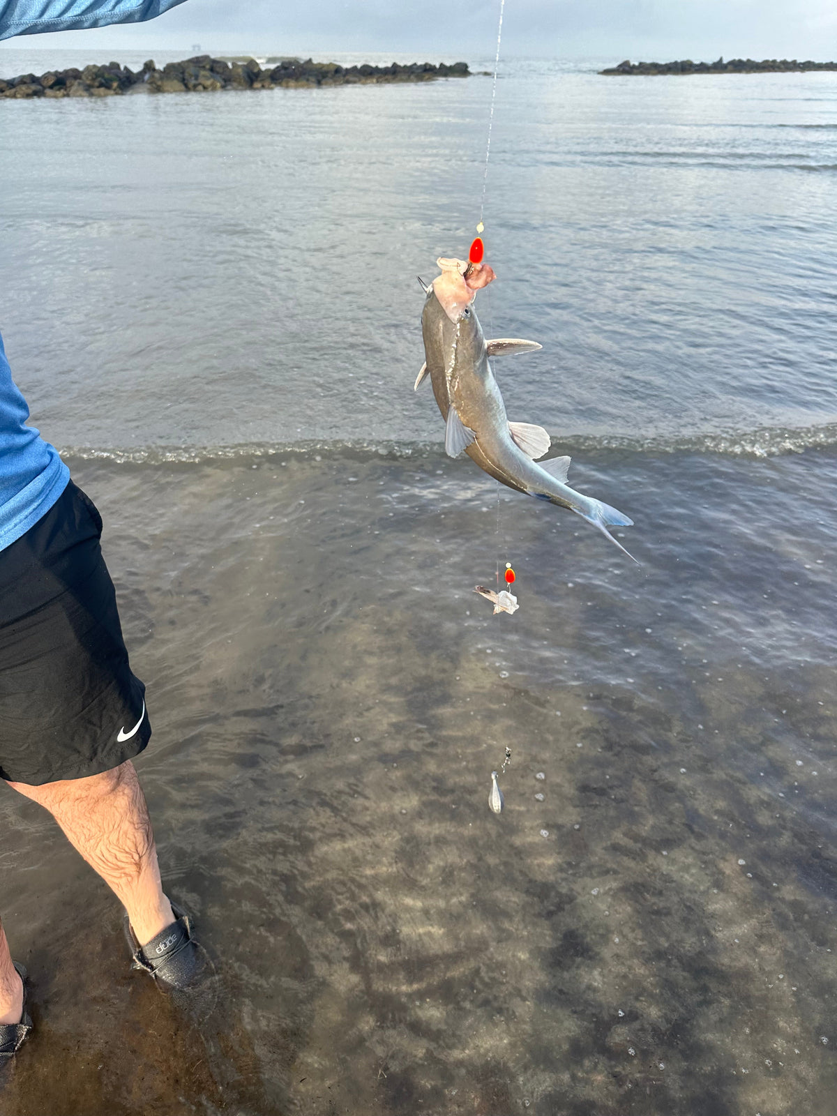 Surf Fishing Co. 2 For 1 Sand Flea Float Rig
