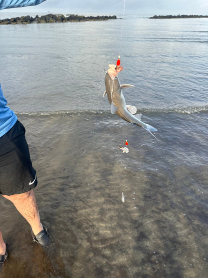 Surf Fishing Co. 2 For 1 Sand Flea Float Rig