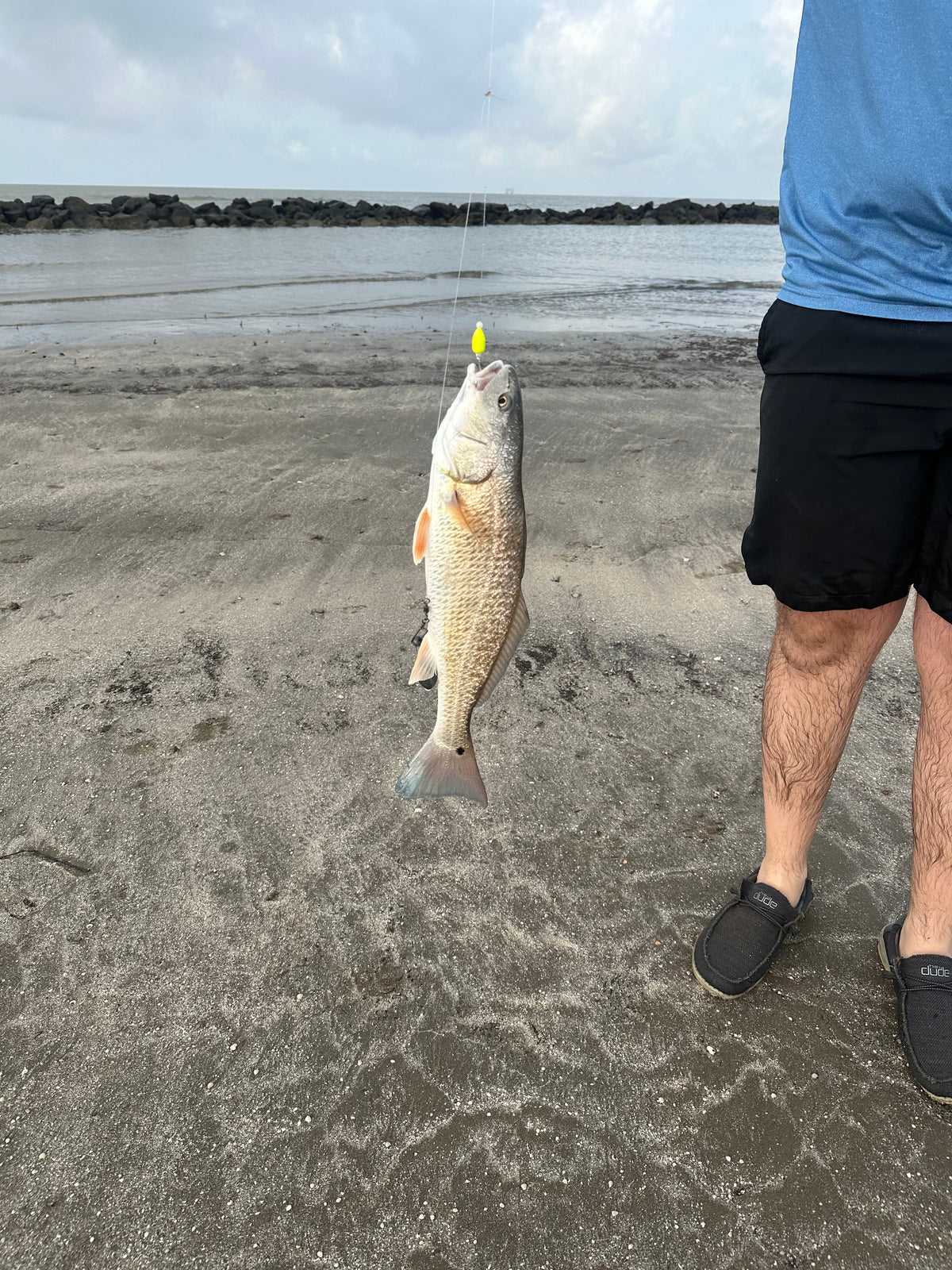 Surf Fishing Co. 2 For 1 Sand Flea Float Rig
