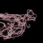 Cypress Double Twist – Finatics Fly Company