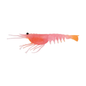 Nomad Design Live Ops Switcher Shrimp