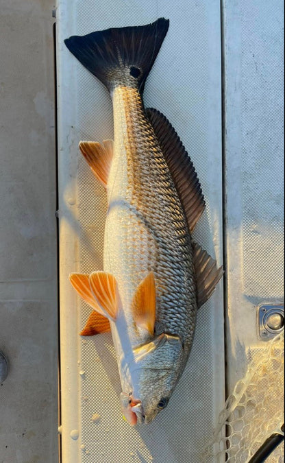 4" Heavy Metal With Built-In Tail Rattle