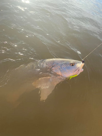 Knockin Tail 3.25" Baby Trout Swimbait with Built-In Tail Rattle
