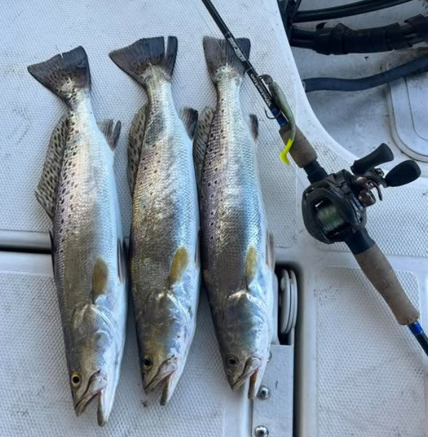 4" Salt and Pepper With Built-In Tail Rattle