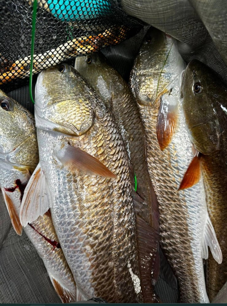 4" Bone Ice With Built-In Tail Rattle
