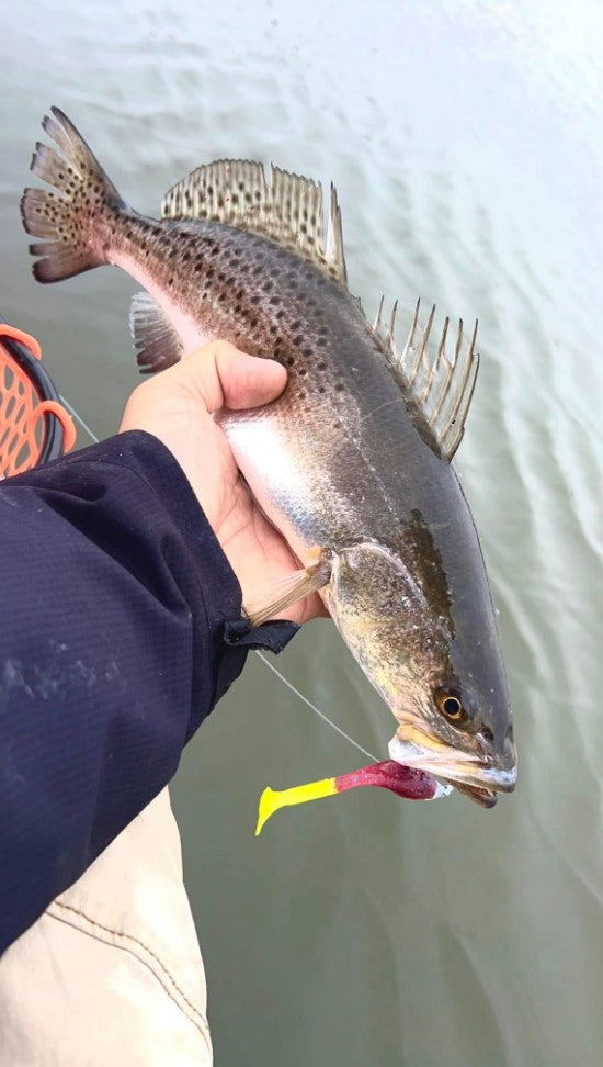 4" Honeydew With Built-In Tail Rattle