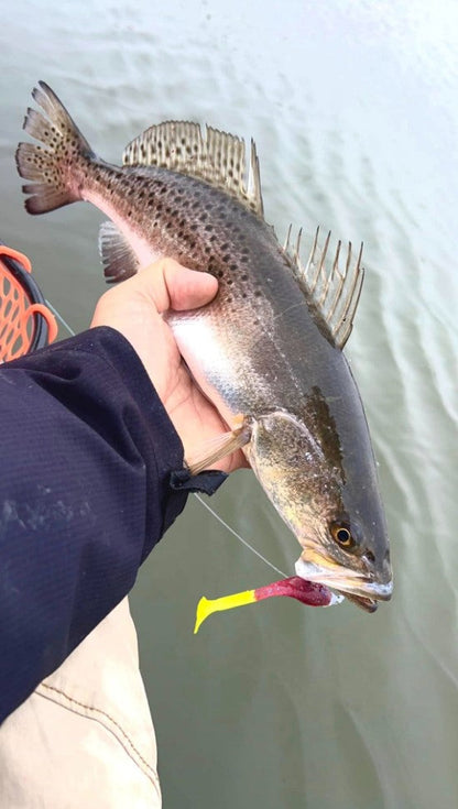 4" Honeydew With Built-In Tail Rattle