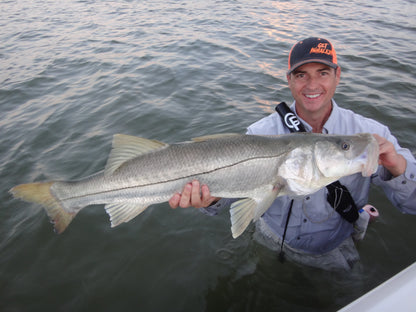 5" Morning Glory With Built-In Tail Rattle