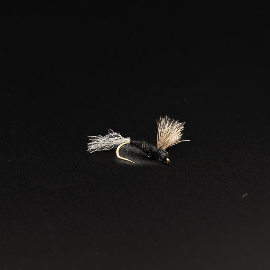 Sparkle Dun – Trico (Male)