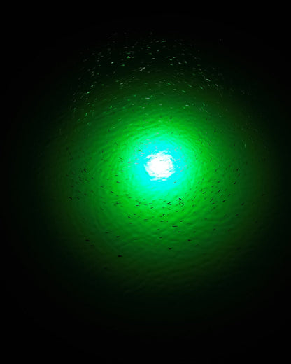 HydroGlow SF200G Green Underwater Fishing Light