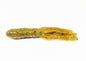 Salty Stick Em Tubes (8 or 50 Packs)