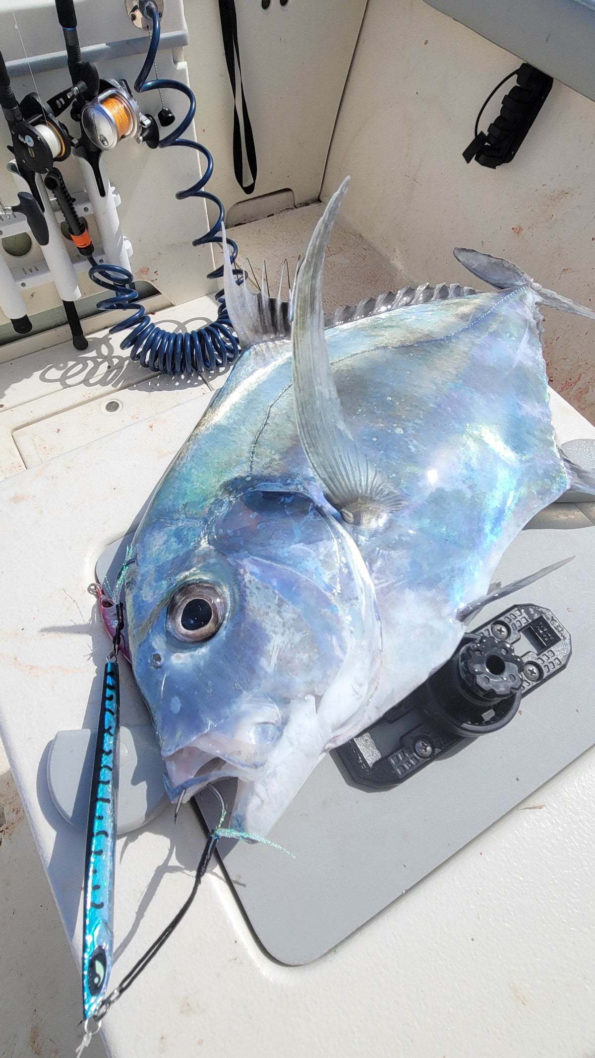 Submission Fishing Co. Ogre Slow Pitch Jig 80g–300g