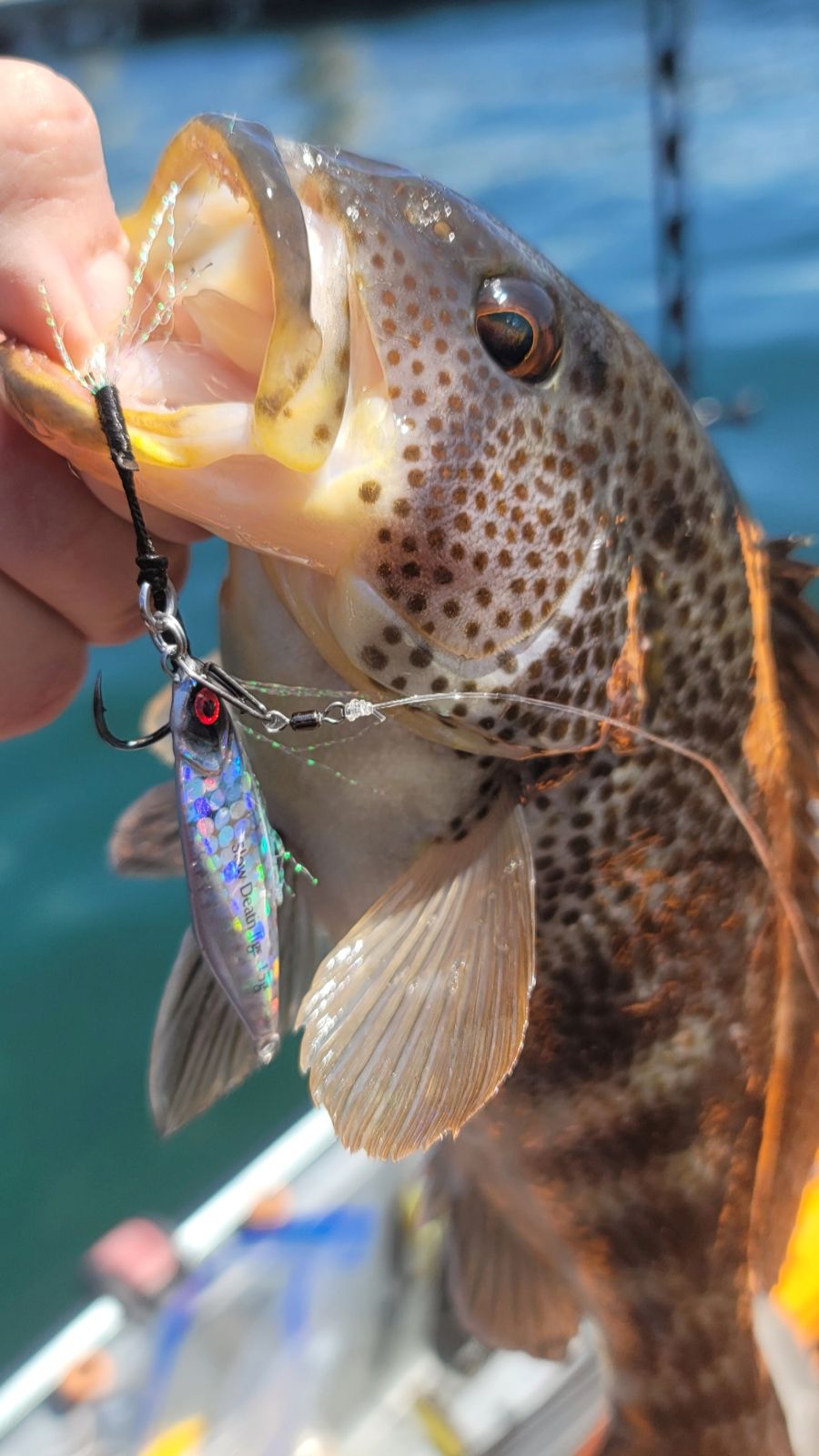 Submission Sumo & Mercenary Micro Slow Pitch Jigs 4-Pack – 10g & 15g