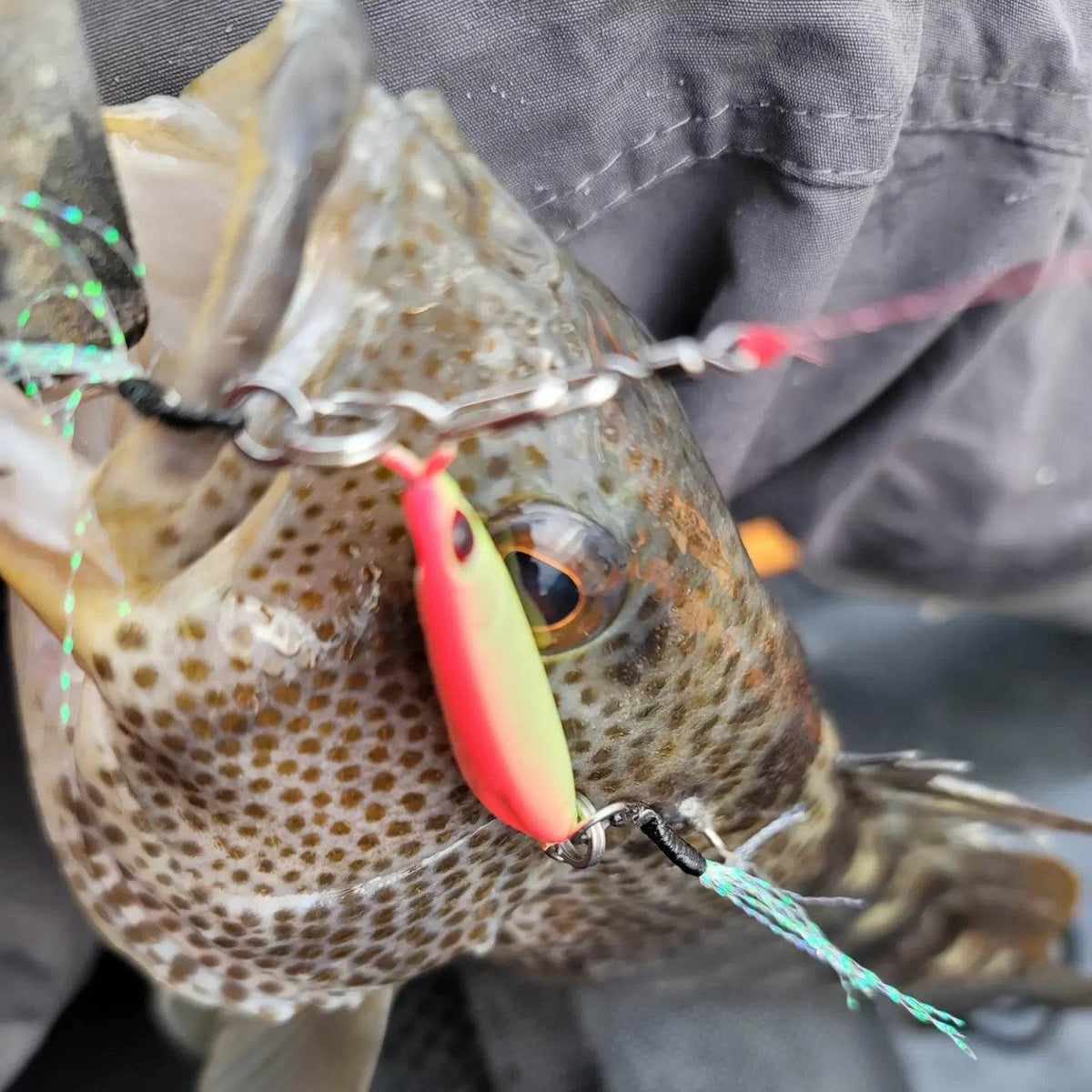 Submission Fishing Co. Sumo Slow Pitch Jig 40g & 60g
